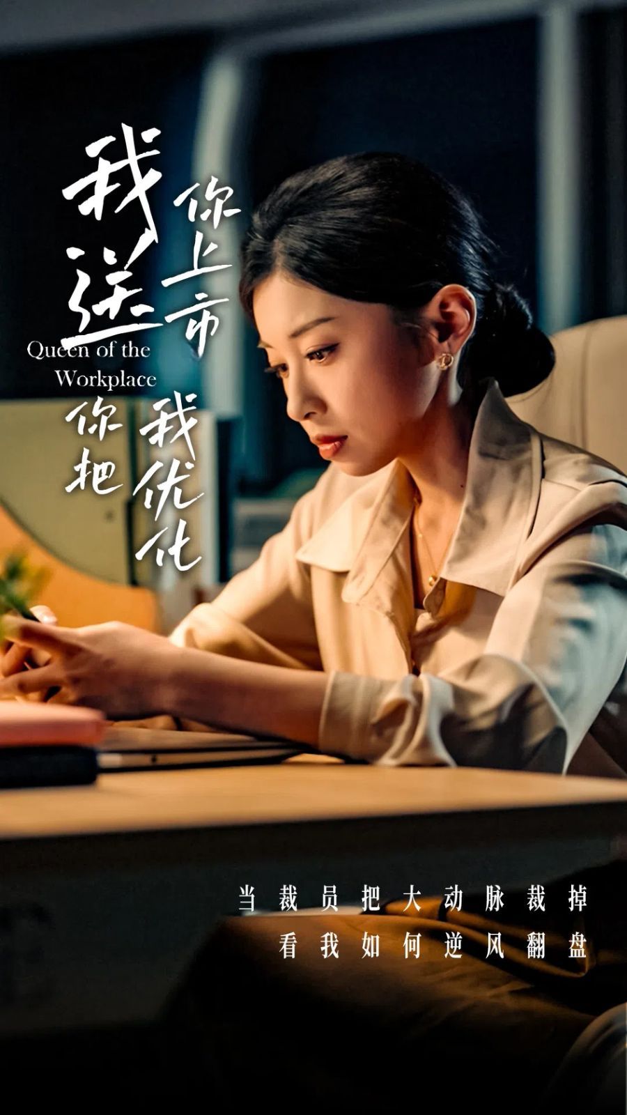 我送你上市你把我优化