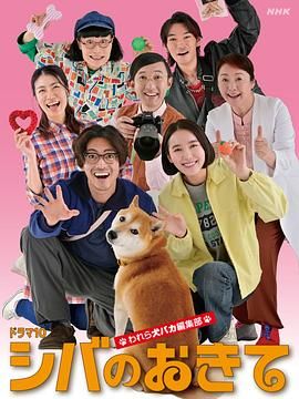 柴犬的规矩我们这群狗痴编辑部